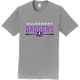 Lady Badgers Adult Fan Favorite Tee