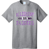 Lady Badgers Core Cotton Tee